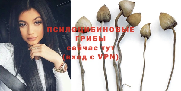 мдпв Усинск