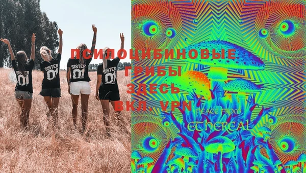 мдпв Усинск