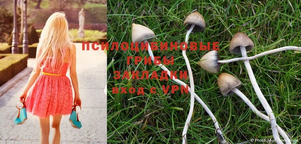мдпв Усинск