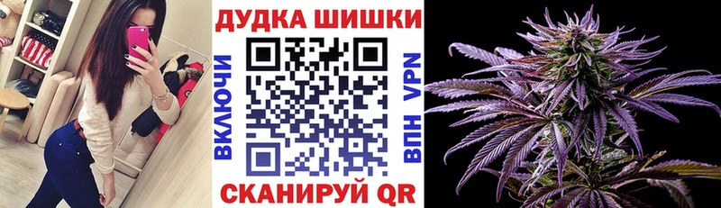 Марихуана семена  цены   блэк спрут tor  Новотитаровская 